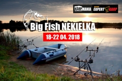 bigfishnekielka-2018...